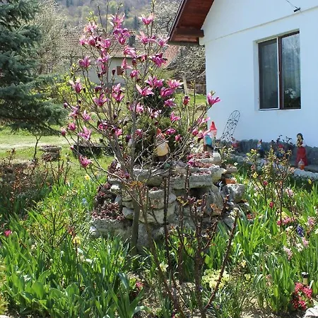 Casa Veverita * Predelut